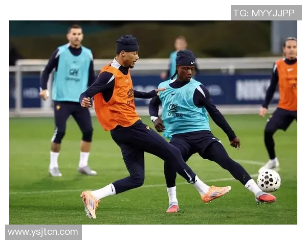 2017年世预赛精彩对决法国队与荷兰队的巅峰之战回顾